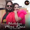 About Bhalobasi Meri Rani Song